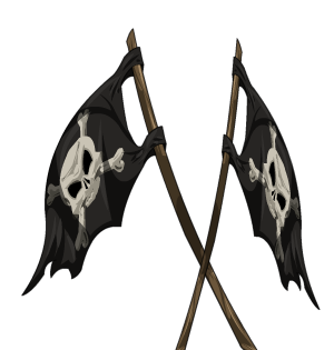 Pirate Flag Cape