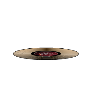 Golden Vinyl Disc Ground