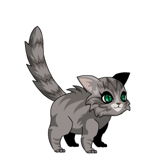 Pebbles Kitty