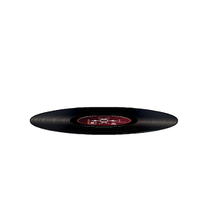 Vinyl Disc Ground