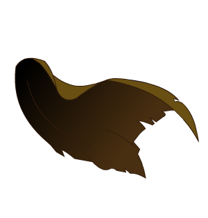 Ultimate AdventureCoin Cloak