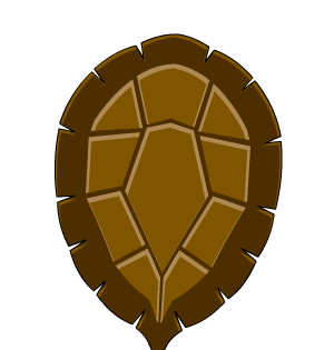 Turtle Shell (cape)