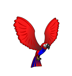 Red Parrot