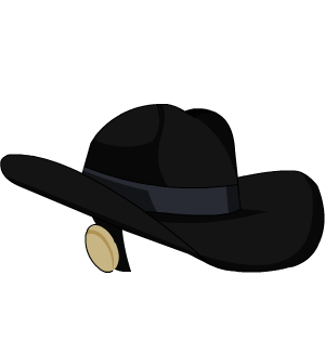 Dark Bandit Hat