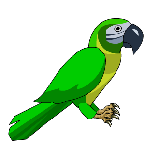 Green Parrot on your Shoulder