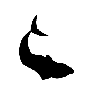 Mystery Floppy Fish