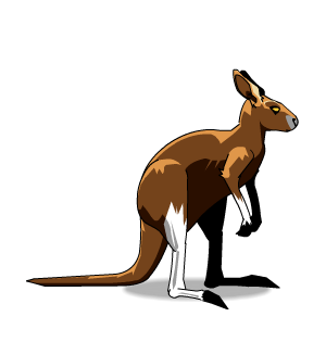 Ripper Kangaroo