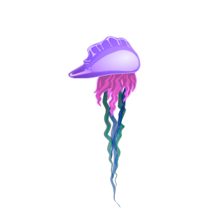 Rainbow Jellyfish Pet