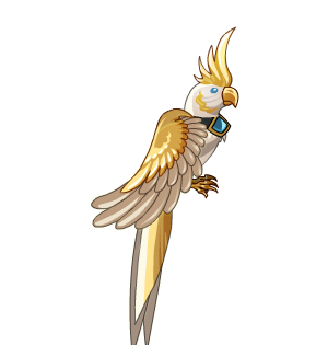 Golden Parrot Cape