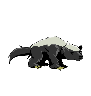 Honey Badger