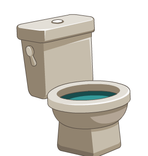 Toilet Bowl Head