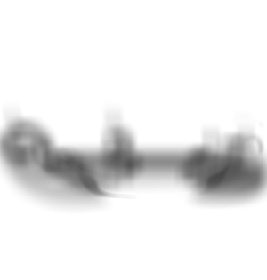 Tomb's Mist