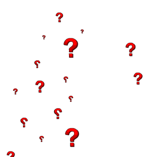 Incognito Interrogatories