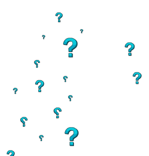 Enchanted Interrogatories