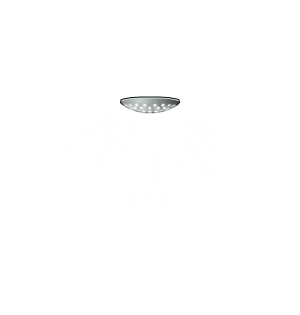 Party Light
