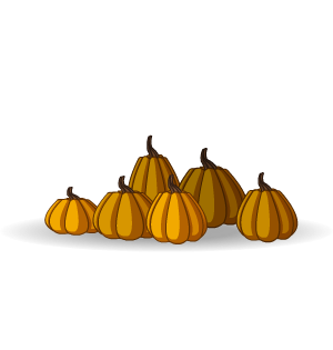 Pumpkin Patch