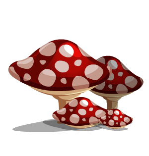 Mushrooms