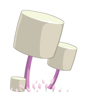 Marshmallow Bush (R)