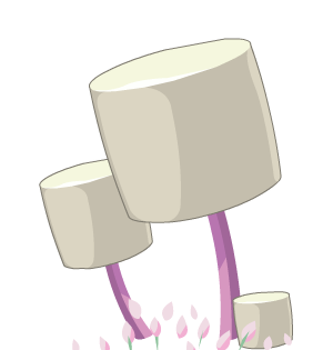 Marshmallow Bush (L)