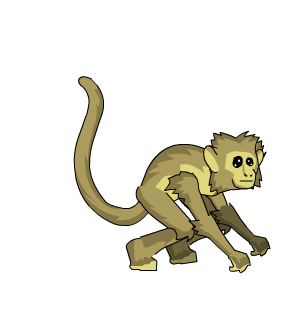 Oasis Monkey