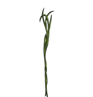 Staff of Vines