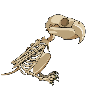 Undead Parrot