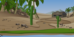 desert room6