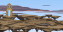 sandcity room6