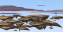 sandcity room7
