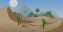 desert Enter