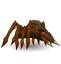 Infesting Spider