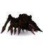 Swamp Spider