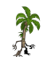 Strange Beach Tree