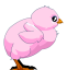 Pink Chick