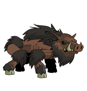 Island Boar