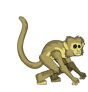 Desert Monkey