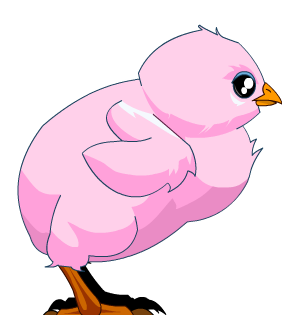 Pink Chick