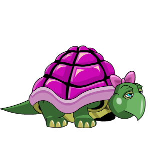 Pink Turtle